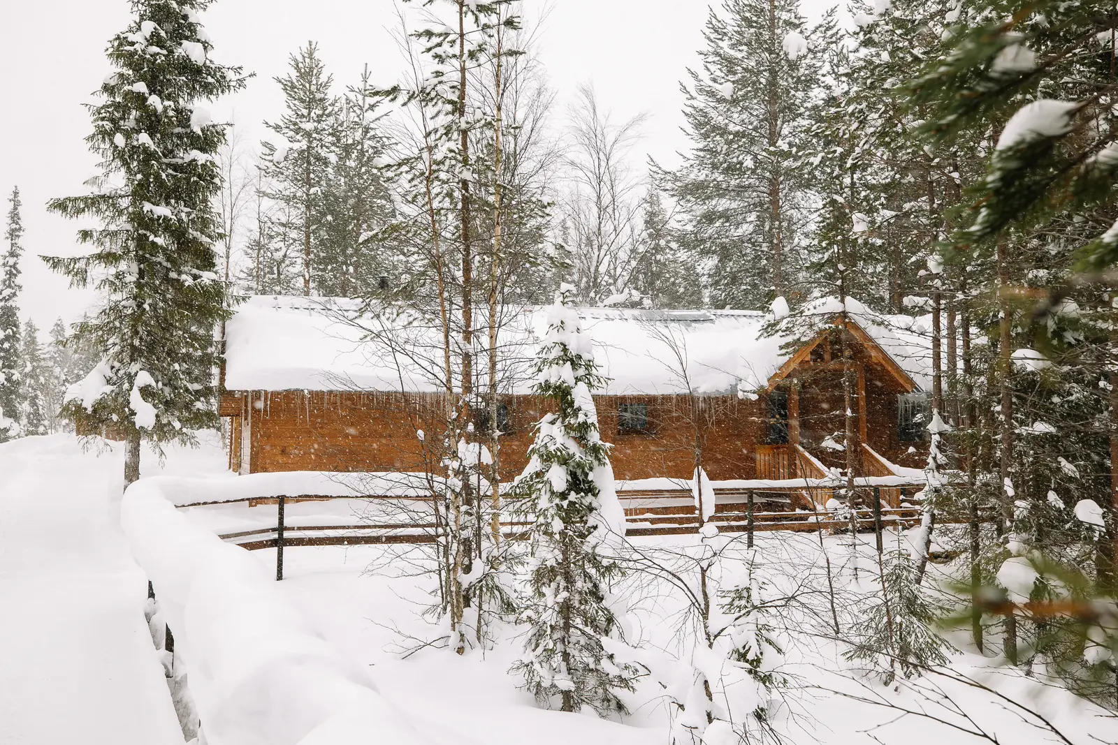 Дополнительная услуга 1