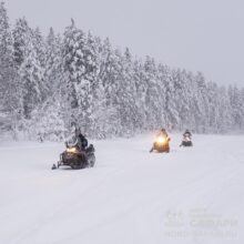 Проведите выходные с Центром северного сафари