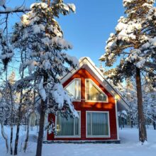 На базе отдыха «Лесная» каждый найдёт что-то интересное!