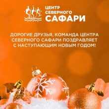 Поздравление от команды Центра северного сафари