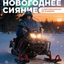 Эксклюзивный вечерний снегоходный тур «Новогоднее сияние»