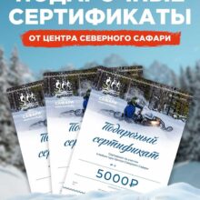 День всех влюблённых, День защитника Отечества, 8 Марта…