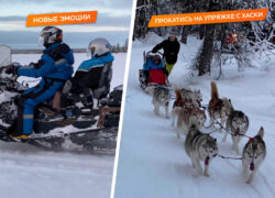 Снегоходный хаски-тур — семейный, лёгкий. 20 км