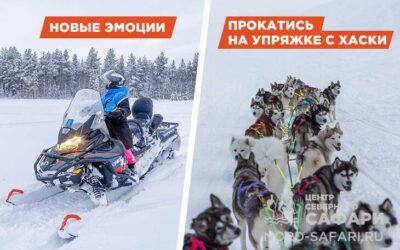 Снегоходный хаски-тур — семейный, лёгкий, 20 км.