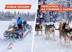 Снегоходный хаски-тур — семейный, лёгкий, 20 км. БО «Лесная»