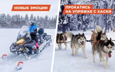 Снегоходный хаски-тур — семейный, лёгкий, 20 км.