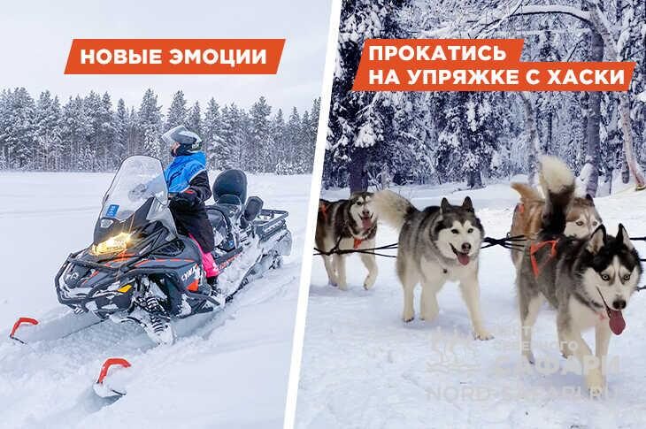 Снегоходный хаски-тур — семейный, лёгкий, 20 км. БО «Лесная»