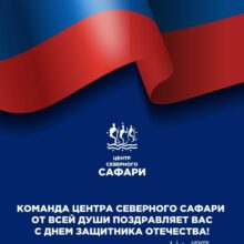 С Днём защитника Отечества!