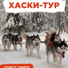 Приглашаем в наш новый хаски-тур — старт с 1 марта!